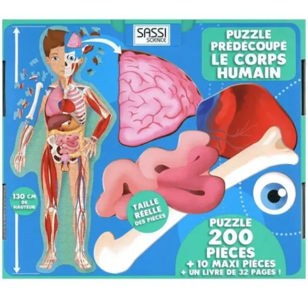 Sassi Junior Découvrir Le Monde|Livre Le Corps Humain En 2D - Voyage, Découvre, Explore