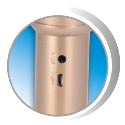 Music Star Micro Bluetooth Karaoké- Micros Et Karaoké