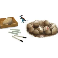 Buki Jeux Scientifiques|Oeufs Dino A Deterrer