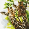 Oz International Tableau A Diamanter Girafes 30X30 Cm- Tableaux, Ardoises